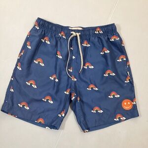 Pacsun Ambsn California Rainbow Swim Trunks